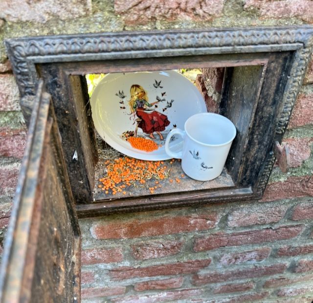 Ein Teller und eine Tasse mit Aschenputtel darauf mit Linsen im Ofen.