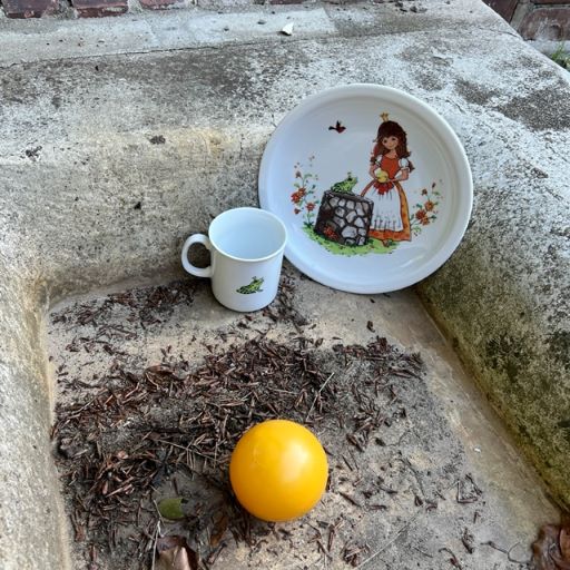Ein Teller und eine Tasse mit dem Froschkönig darauf in einem Brunnen.