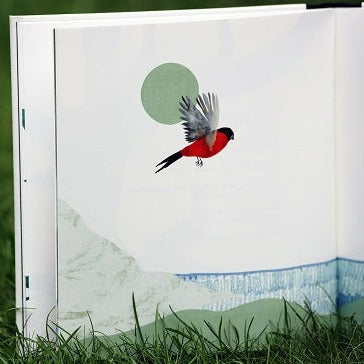 Buch "BUNT"