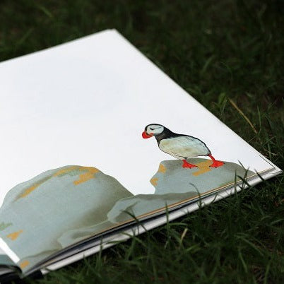 Buch "BUNT"