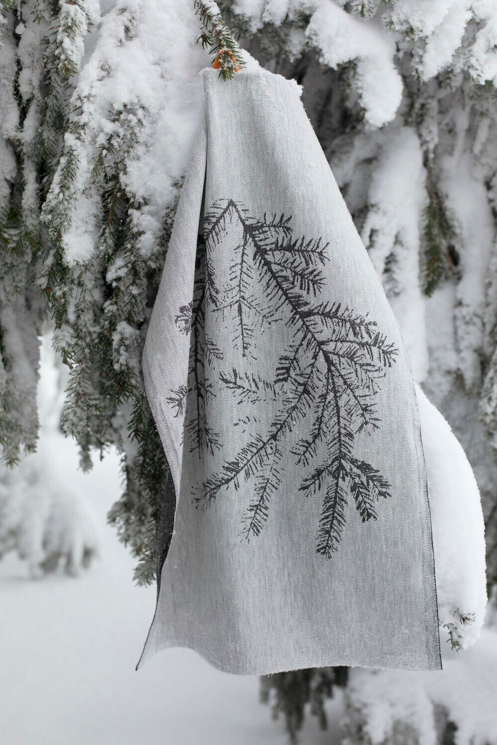 helles leinentuch haengend an einer tanne im schnee