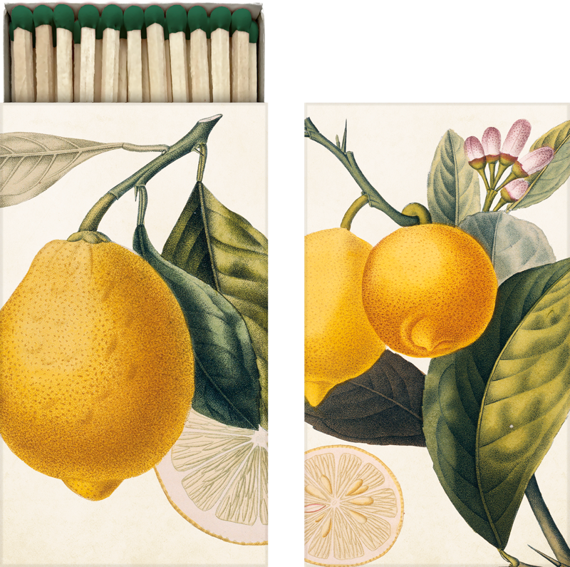 streichholzschachtel geoeffnet mit zitronenmotiv und streichhoelzern drin