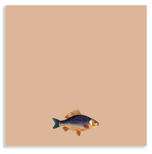 Notizblock mit einem Fisch.