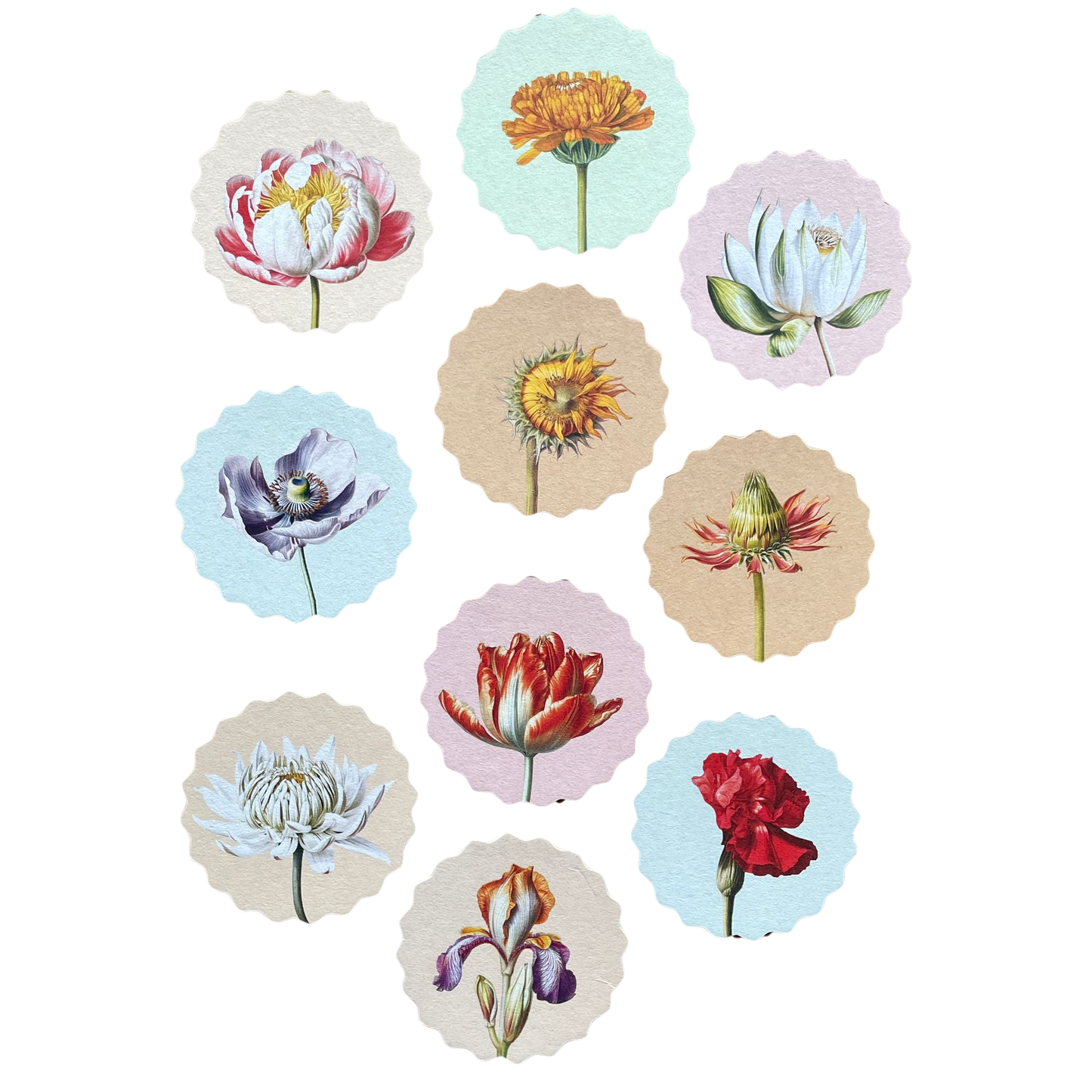 zehn verschiedene untersetzer mit geoeffneten und geschlossenen blumenblueten abgebildet.