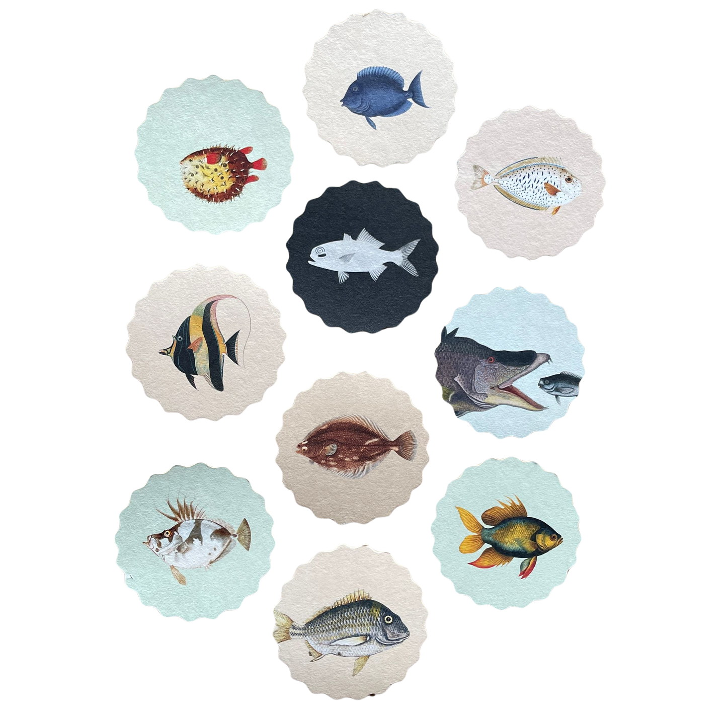 zehn untersetzer aus recyceltem filz mit verschiedenen fisch motiven.