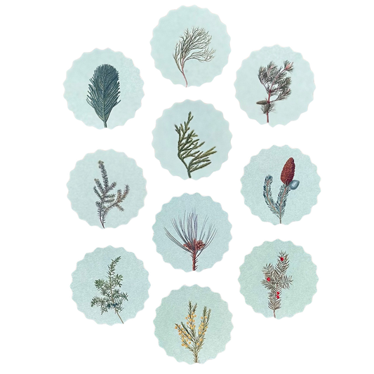zehn untersetzer aus recyceltem filz mit verschiedenen beidseitig abgebildeten tannenzweigen