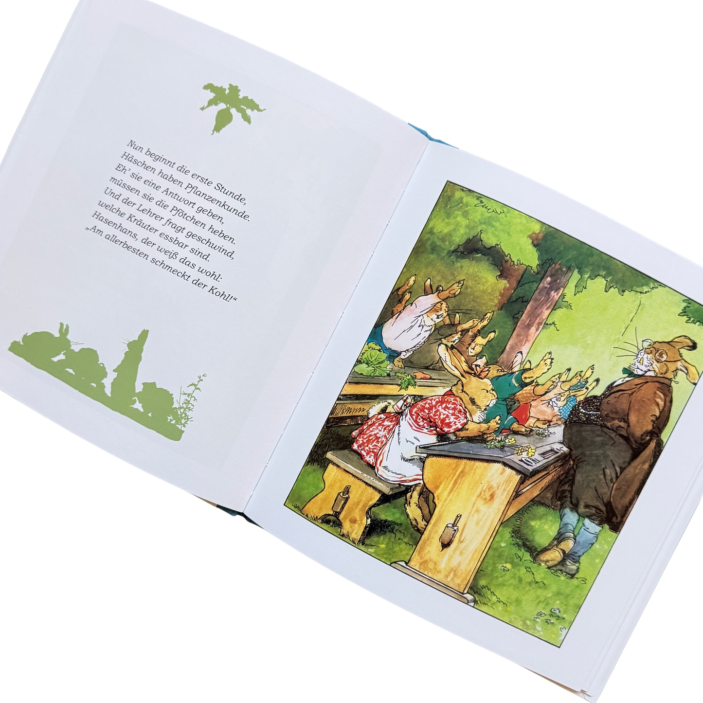 Eine Buchseite von die Häschenschule mit dem Hasenlehrer vor den Schulbänken mit den Hasenschülern beim Melden.