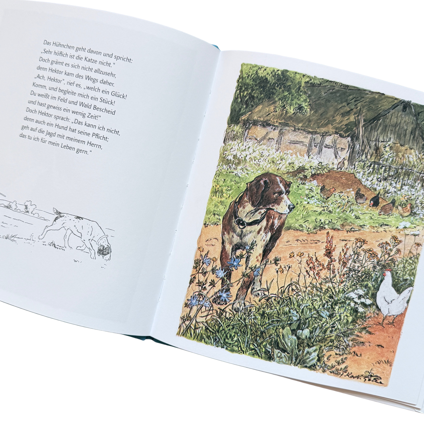 Das hühnchen Sabinchen trifft im Garten am Misthaufen einen Hund.