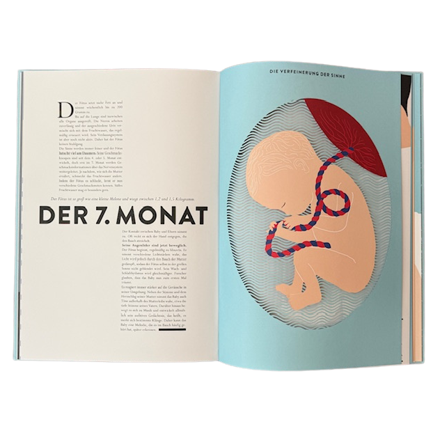 Buchseiten über Monat Sieben der Schwangerschaft und einem Embryo mit Nabelschnur.