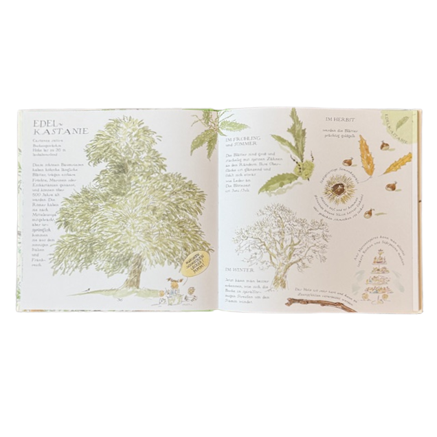 Kinderbuch Seite mit gezeichneten Bäumen, ihre Blätter und Früchte.