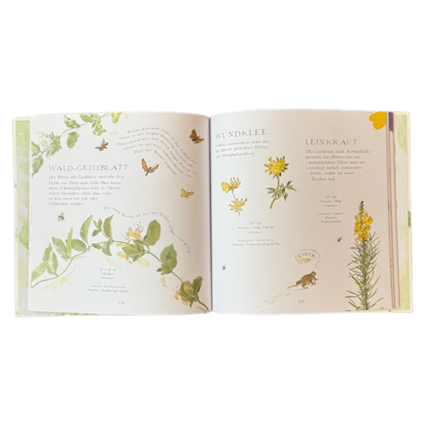 Buchseite von einem Kinderbuch mit Pflanzen, Blüten und Blätter.