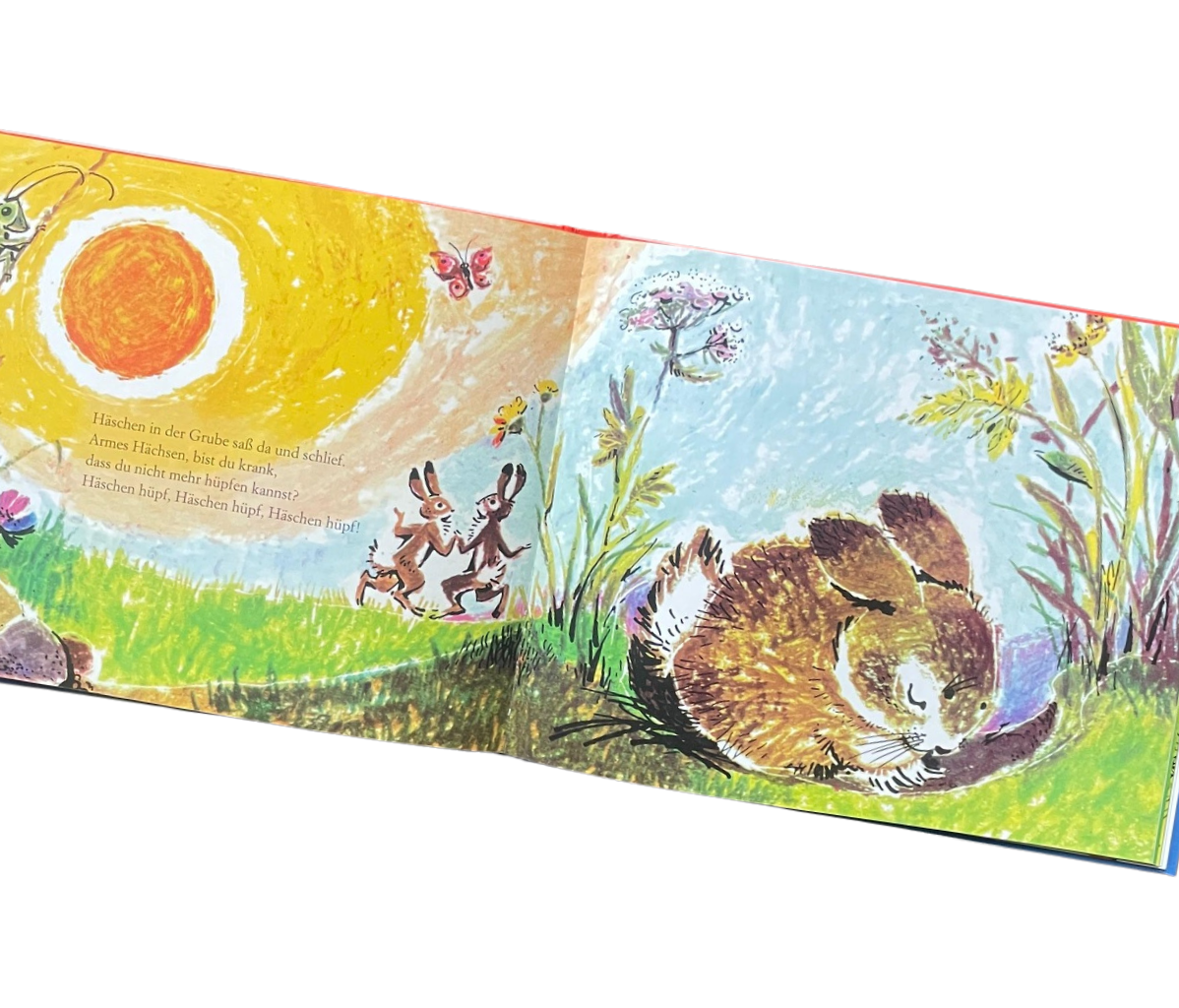 Kinderbuch Hänschen Klein mit verschiedenen Kinderreimen und Liedern. Buchseite mit einem schlafendem Häschen im Sonnenlicht. Häschen in der Grube.