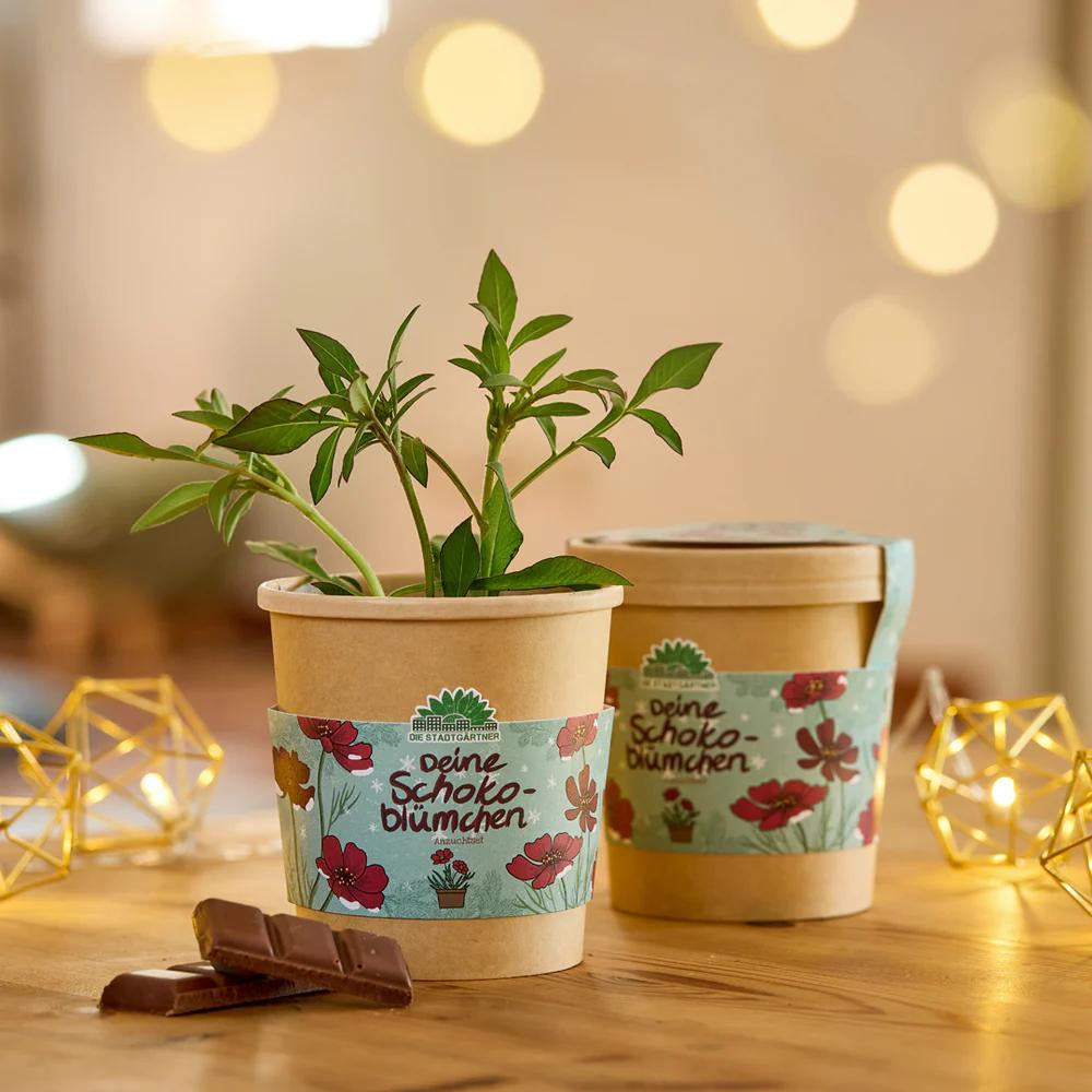 Ein Anzuchtset für Schokoblümchen im Becher aus Karton.