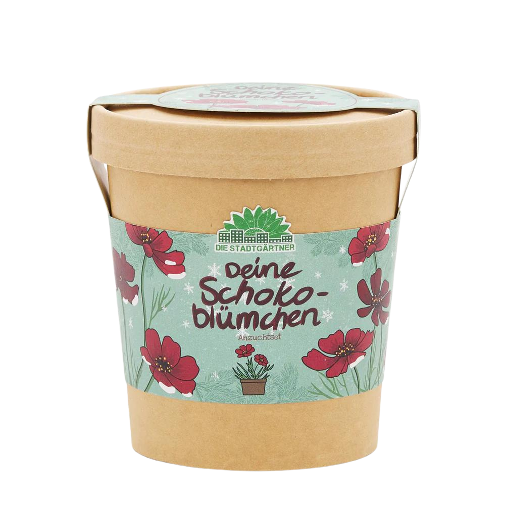 Ein Anzuchtset für Schokoblümchen im Becher aus Karton.