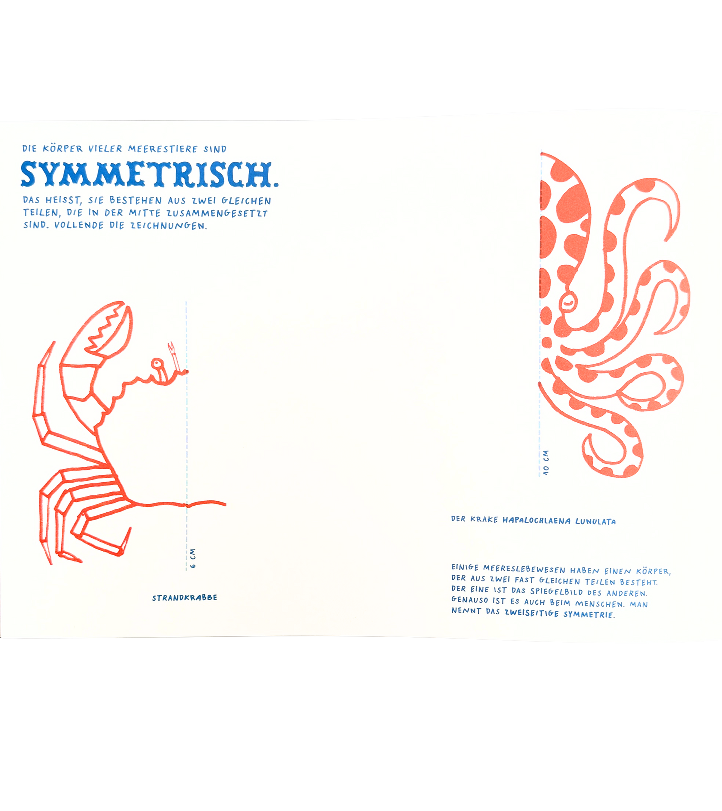 Wissens-und Mitmachbuch über das Meer. Malen, basteln und experimentiern.