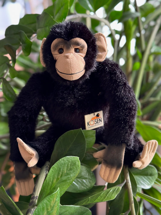 schwarzer kleiner schimpanse von koesen sitz im baum