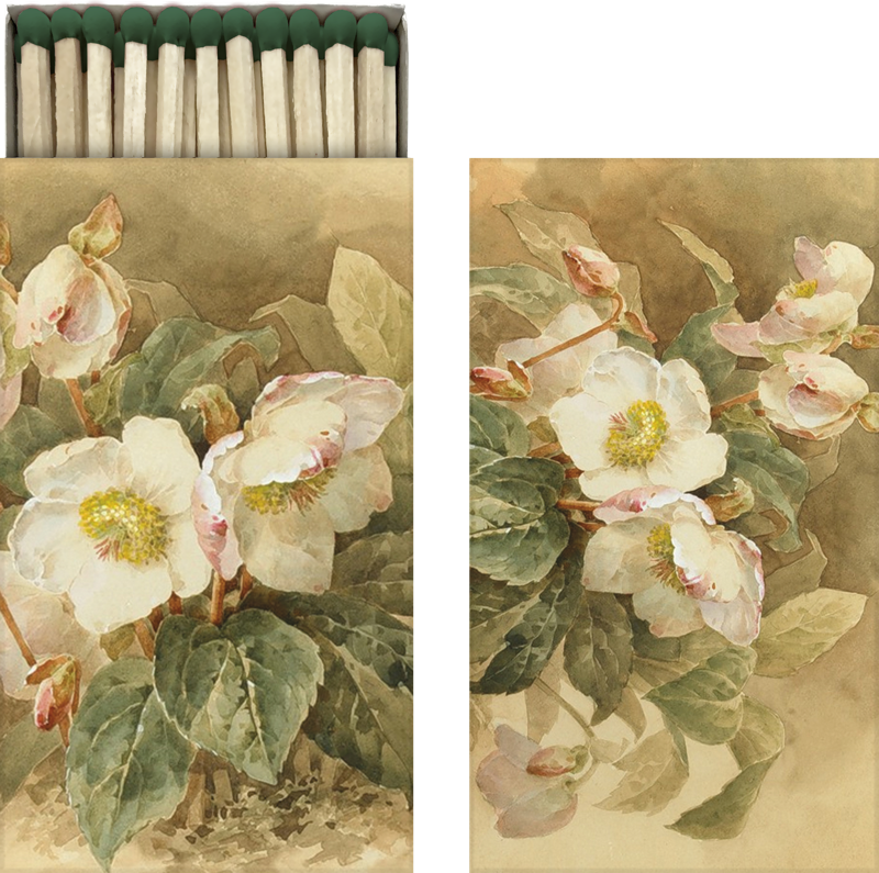 Streichhölzer Schneerose