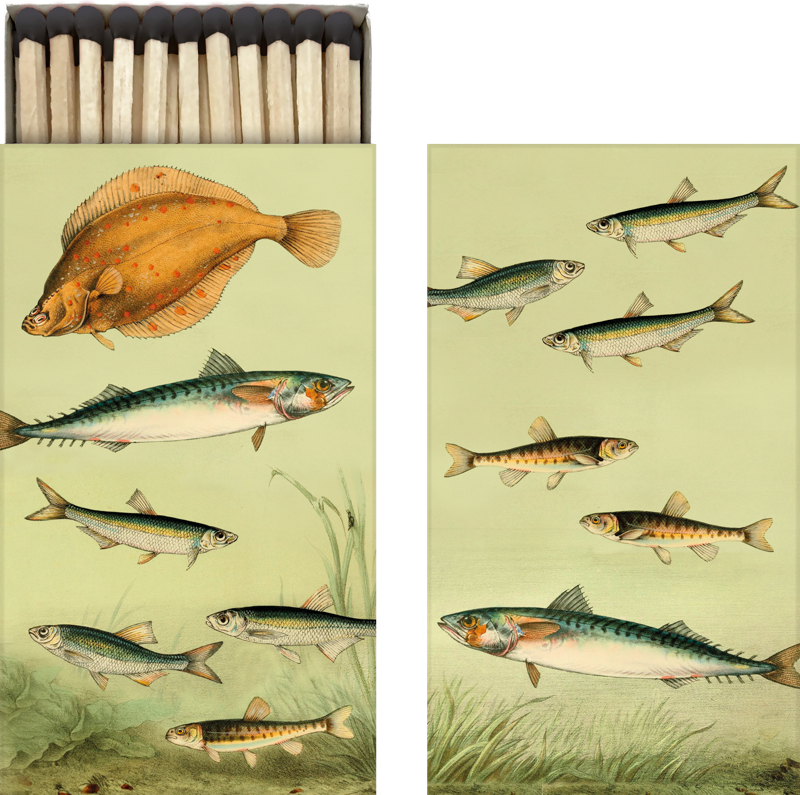 streichholzverpackung mit verschiedenen Fischmotiven