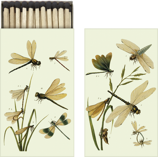 streichholzverpackung  mit verschiedenen libellenarten drauf