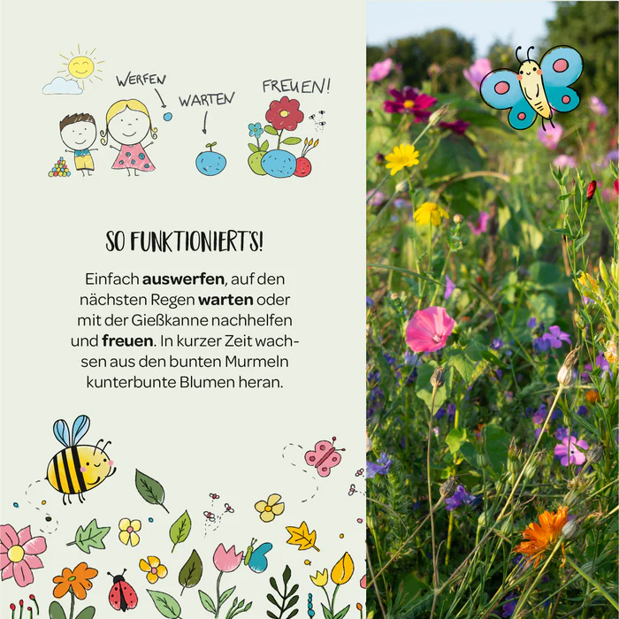 bild mit Anleitung zur Nutzung der Blumenmurmeln und foto von blumenwiese