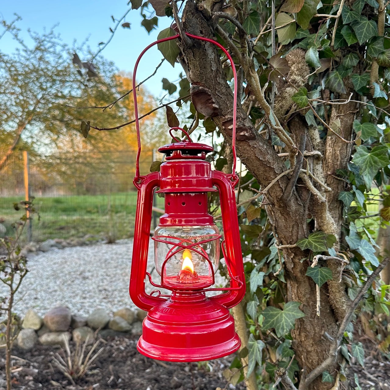 rote petroleumlaterne haengt am baum brennend