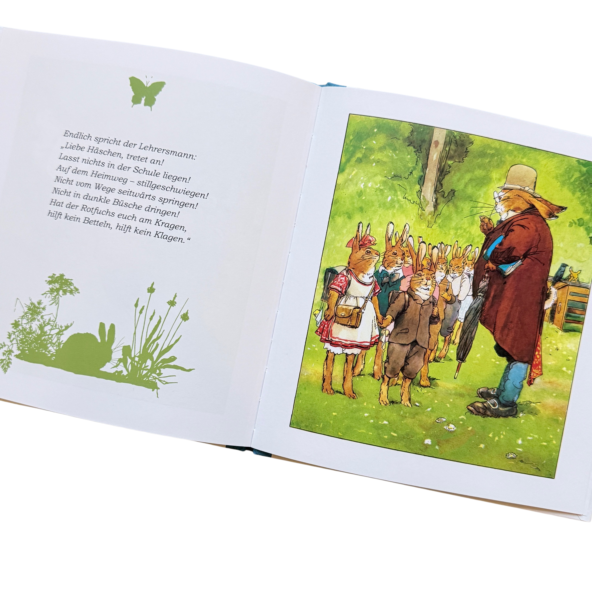 Eine Buchseite von die Häschenschule mit dem Hasenlehrer und einer Gruppe Hasenschüler im Wald beim Erkunden. 