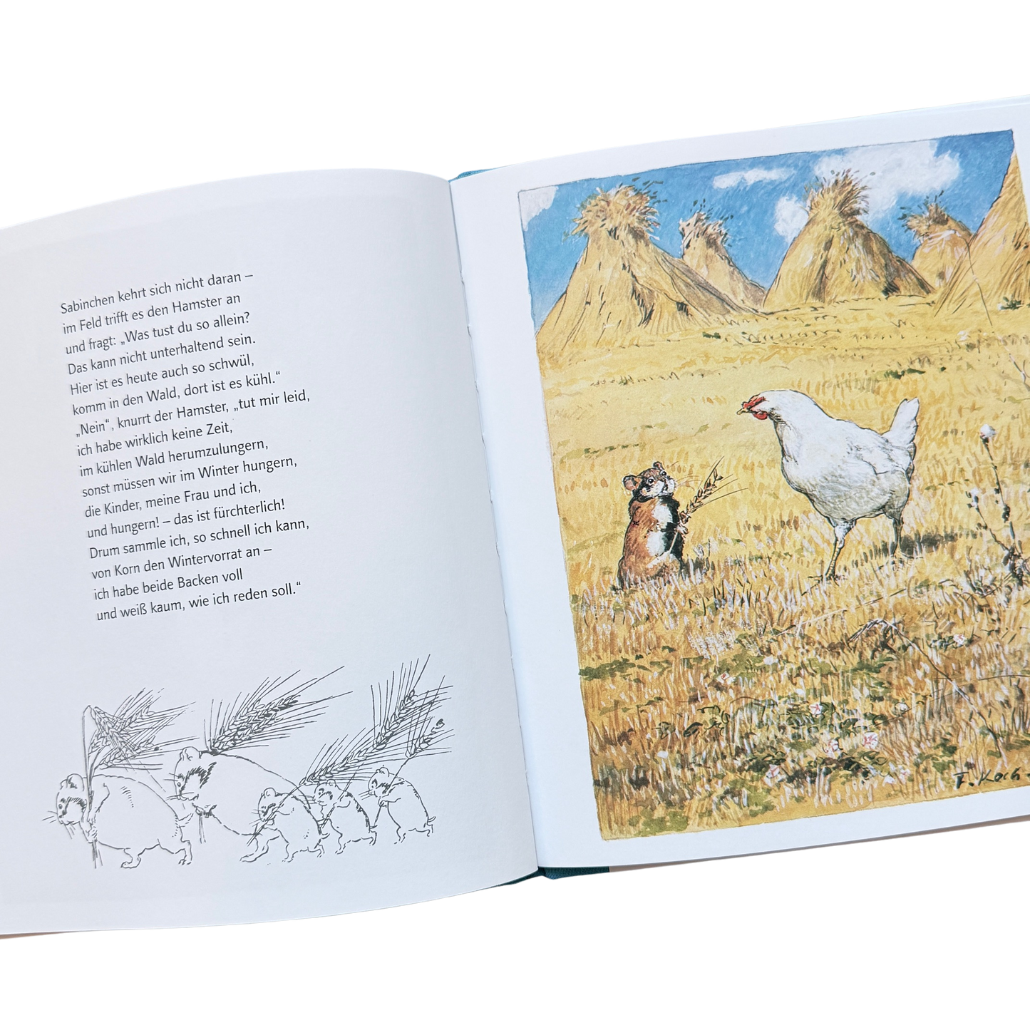 Das hühnchen Sabinchen trifft auf einem abgemähten Kornfeld einen Hamster. 