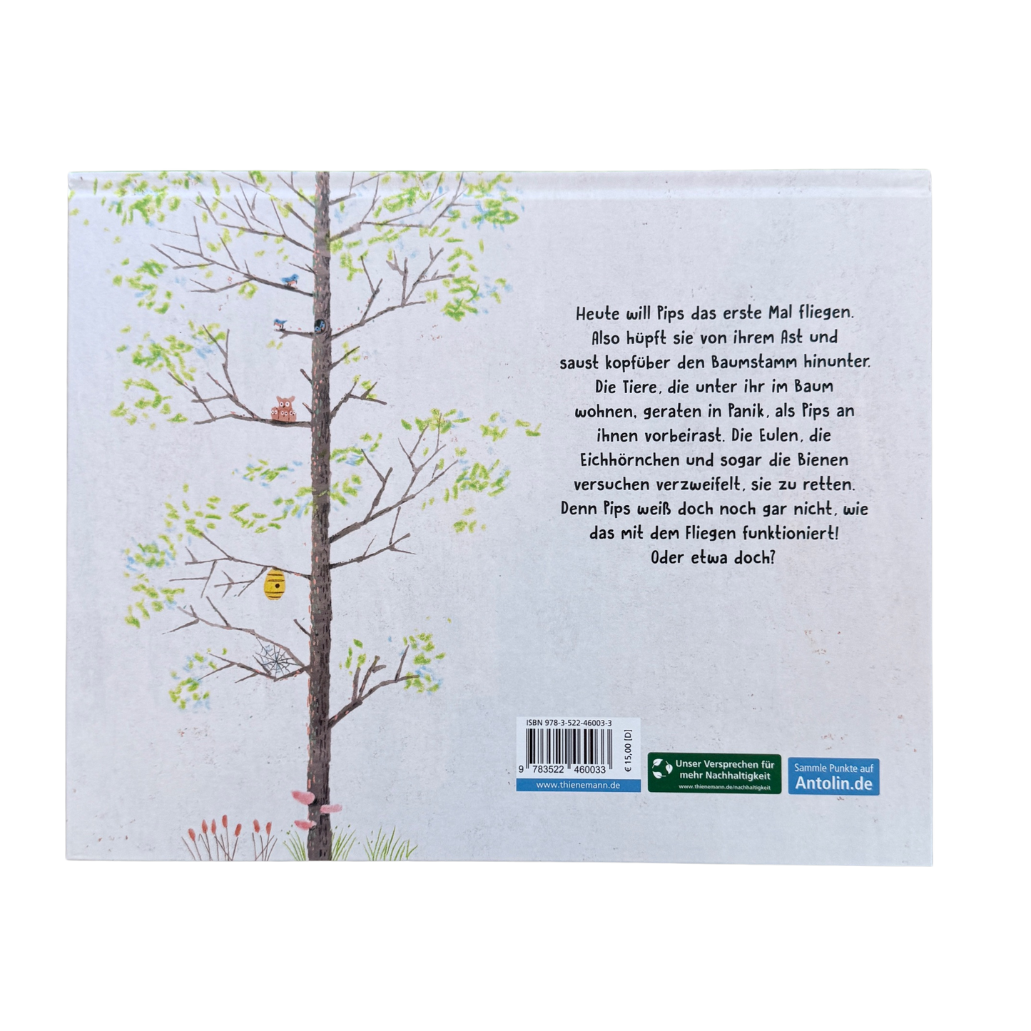 Ein Baum mit Bewohnern. Bienenstock, Eichhörnchen, Vögel und Spinnen.