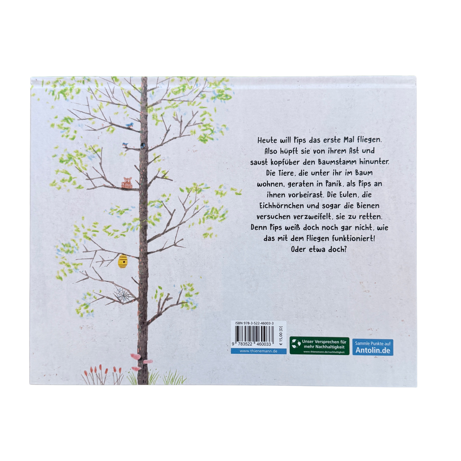 Ein Baum mit Bewohnern. Bienenstock, Eichhörnchen, Vögel und Spinnen.