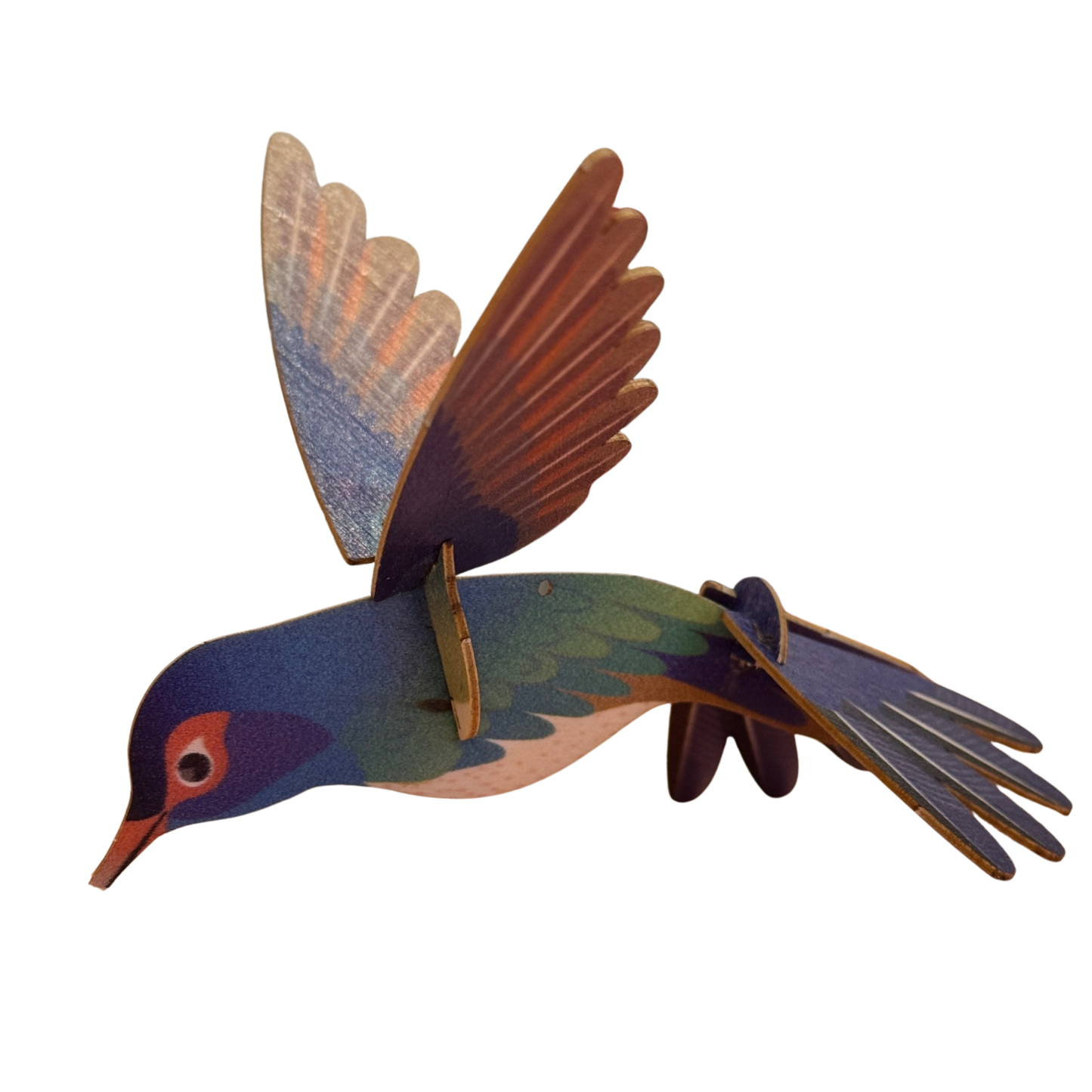 Zusammengebauter, stehender Kolibri mit flatternden Flügeln.