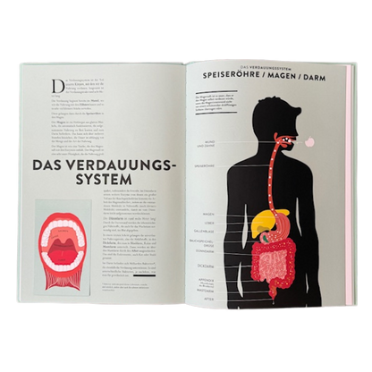 Gezeichnete Buchseiten über das Verdauungssystem mit Magen und Speiseröhre. 