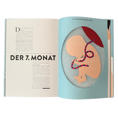 Buchseiten über Monat Sieben der Schwangerschaft und einem Embryo mit Nabelschnur. 