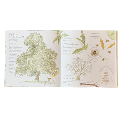 Kinderbuch Seite mit gezeichneten Bäumen, ihre Blätter und Früchte.