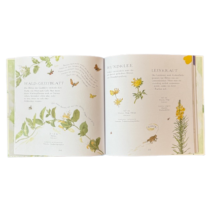 Buchseite von einem Kinderbuch mit Pflanzen, Blüten und Blätter.