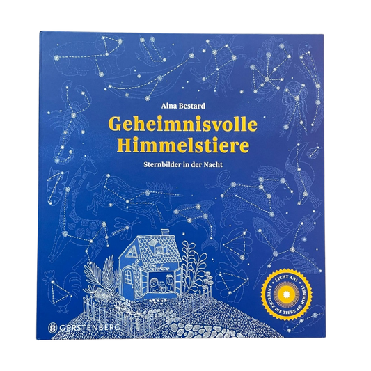 Ein blauer Nachthimmel mit Sternenbildern über einem Haus mit Garten.