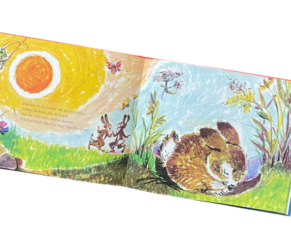 Kinderbuch Hänschen Klein mit verschiedenen Kinderreimen und Liedern. Buchseite mit einem schlafendem Häschen im Sonnenlicht. Häschen in der Grube.