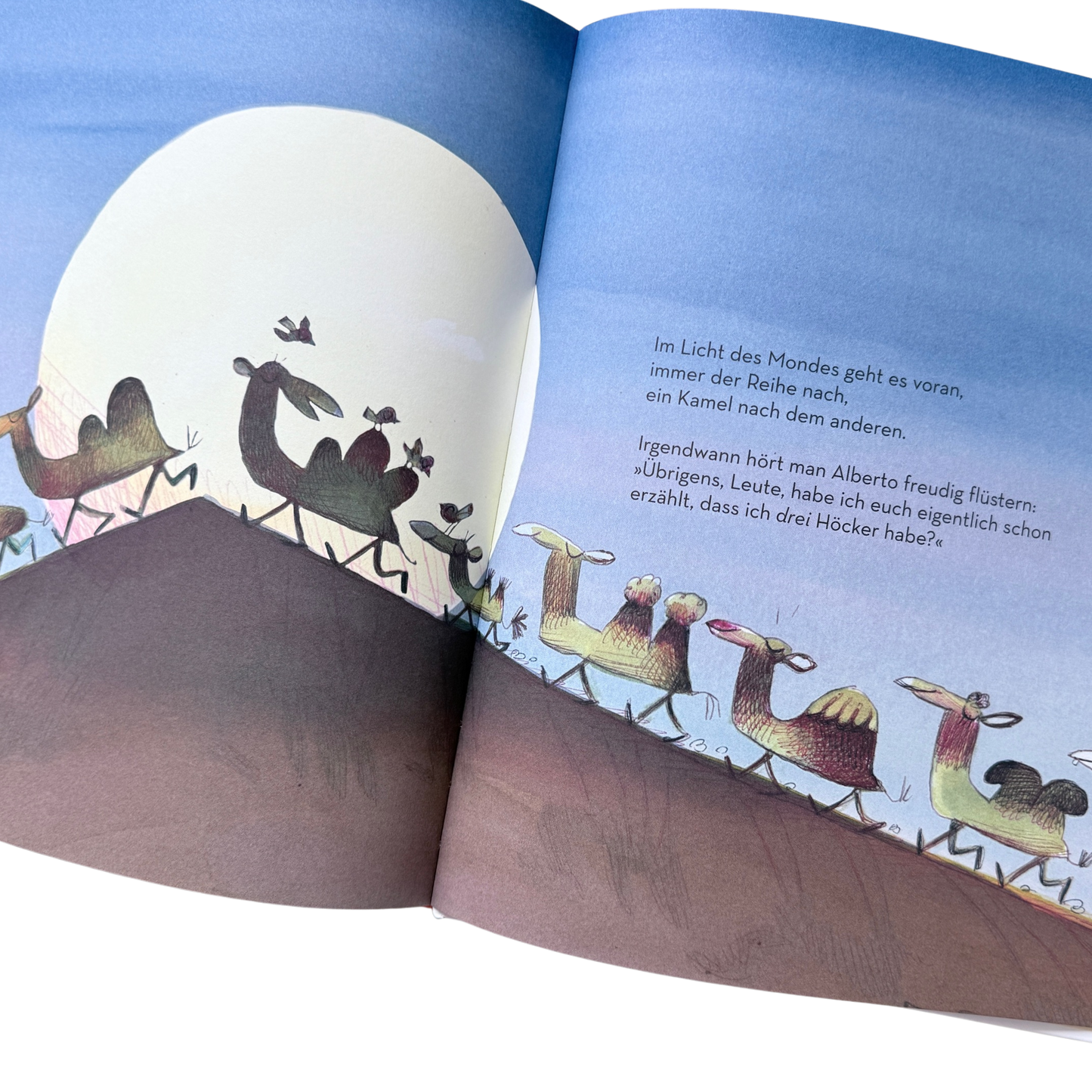 Alberto einfach einzigartig, ein Kinderbuch mit einem Kamel auf dem Cover, welches drei Höcker hat und mit allen anderen Kamelen in der Wüste vor dem erleuchteten Mond in Reihe maschiert. 