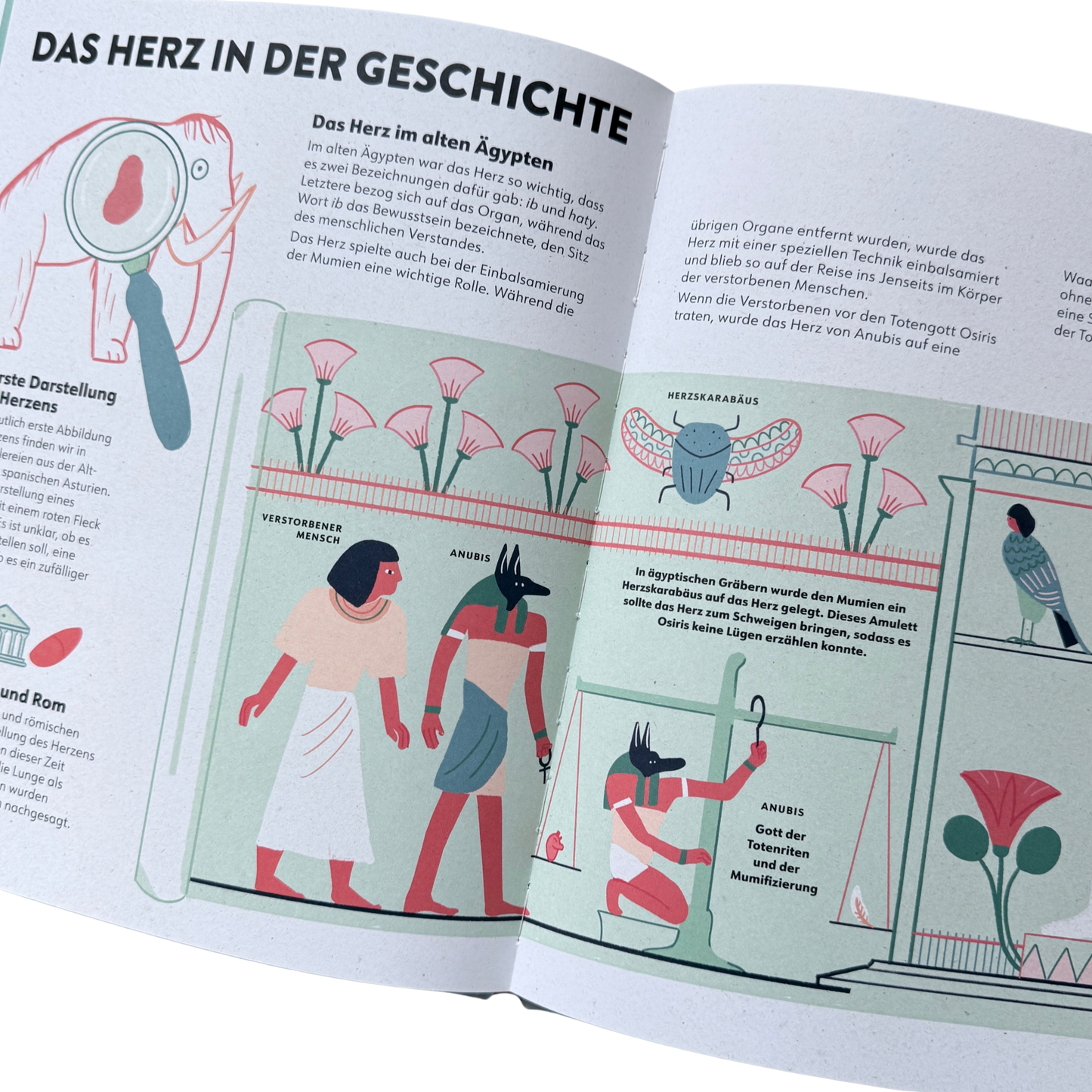 Kinderbuch Wissen das Herz. Das Herz in der Geschichte. Ägyptische Zeichnungen. 