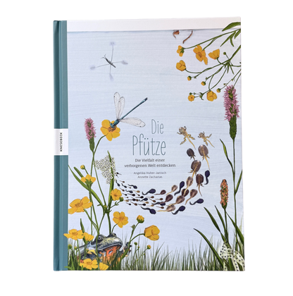 Kinderbuch Wissen über die Pfütze mit illustrierten Libellen, Wasserpflanzen und Fröschen auf dem Cover. 