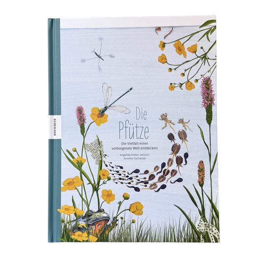 Kinderbuch Wissen über die Pfütze mit illustrierten Libellen, Wasserpflanzen und Fröschen auf dem Cover. 