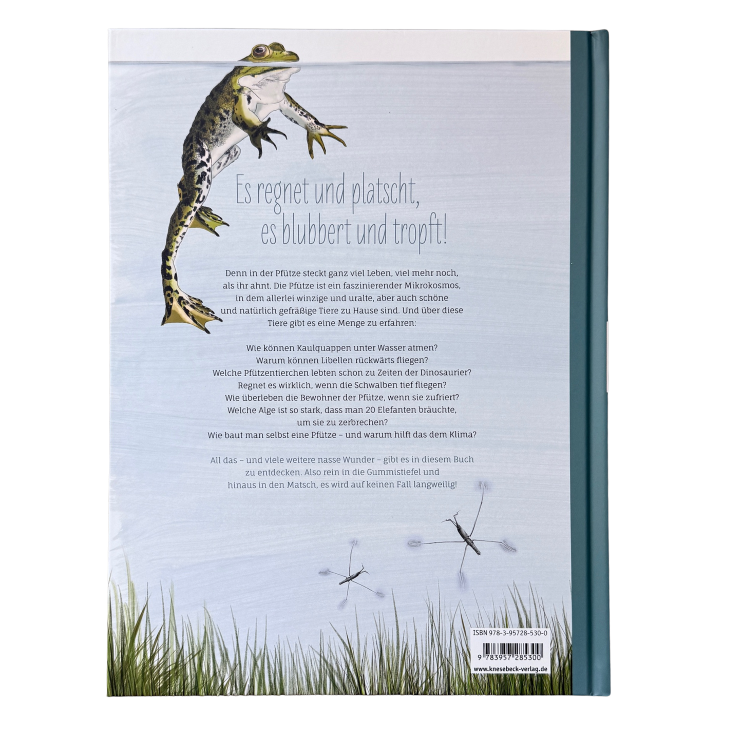 Kinderbuch Wissen über die Pfütze mit illustrierten Libellen und einem Frosch an der Wasseroberfläche auf der Rückseite. 