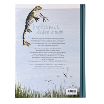 Kinderbuch Wissen über die Pfütze mit illustrierten Libellen und einem Frosch an der Wasseroberfläche auf der Rückseite. 