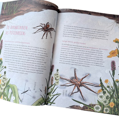 Kinderbuch Wissen über die Pfütze mit illustrierten Libellen, Wasserpflanzen und Fröschen auf der Seite. 
