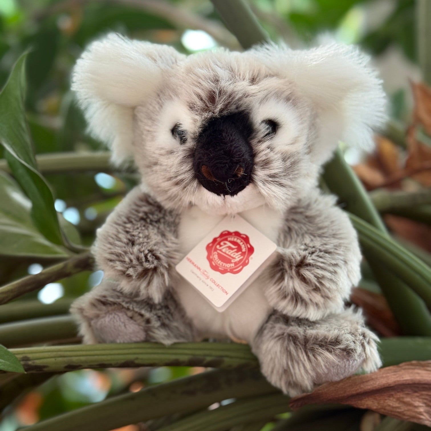 Koala Kuscheltier in Grau mit weißen Ohren und weißem Bauch. Sitzt in einem Baum. 
