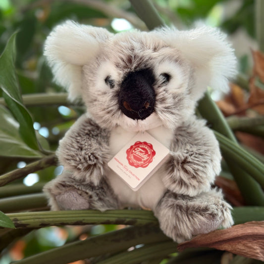 Koala Kuscheltier in Grau mit weißen Ohren und weißem Bauch. Sitzt in einem Baum. 
