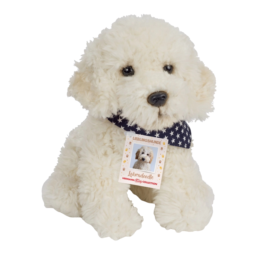 Weißer Labradoodle. Kuscheltier mit einem blauen Halsband mit kleinen weißen Sternen. 