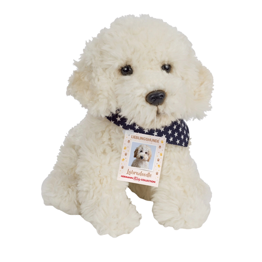 Weißer Labradoodle. Kuscheltier mit einem blauen Halsband mit kleinen weißen Sternen. 