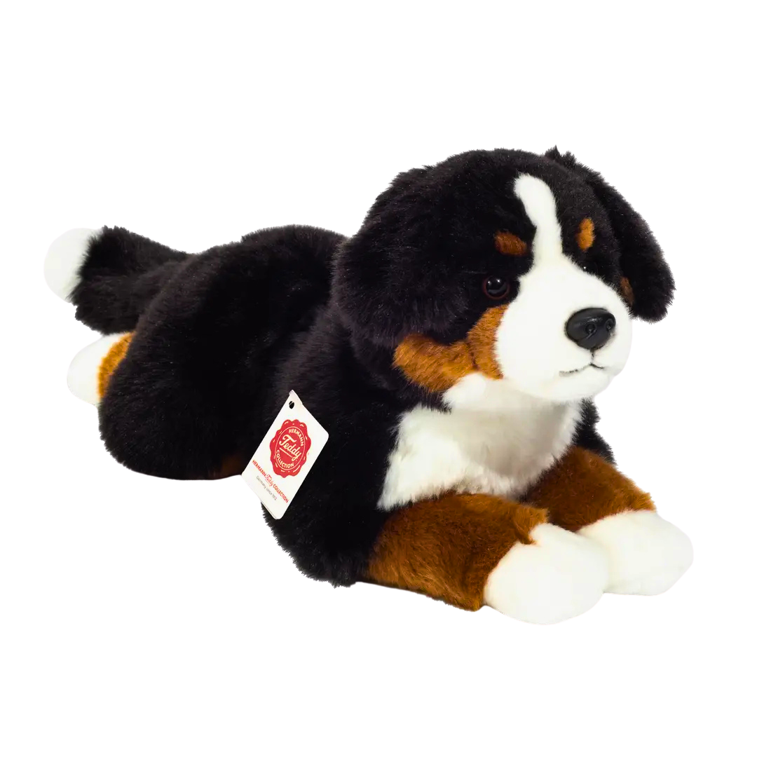 Sennenhund Kuscheltier in Schwarz mit weißen Pfoten und weißem Latz. 