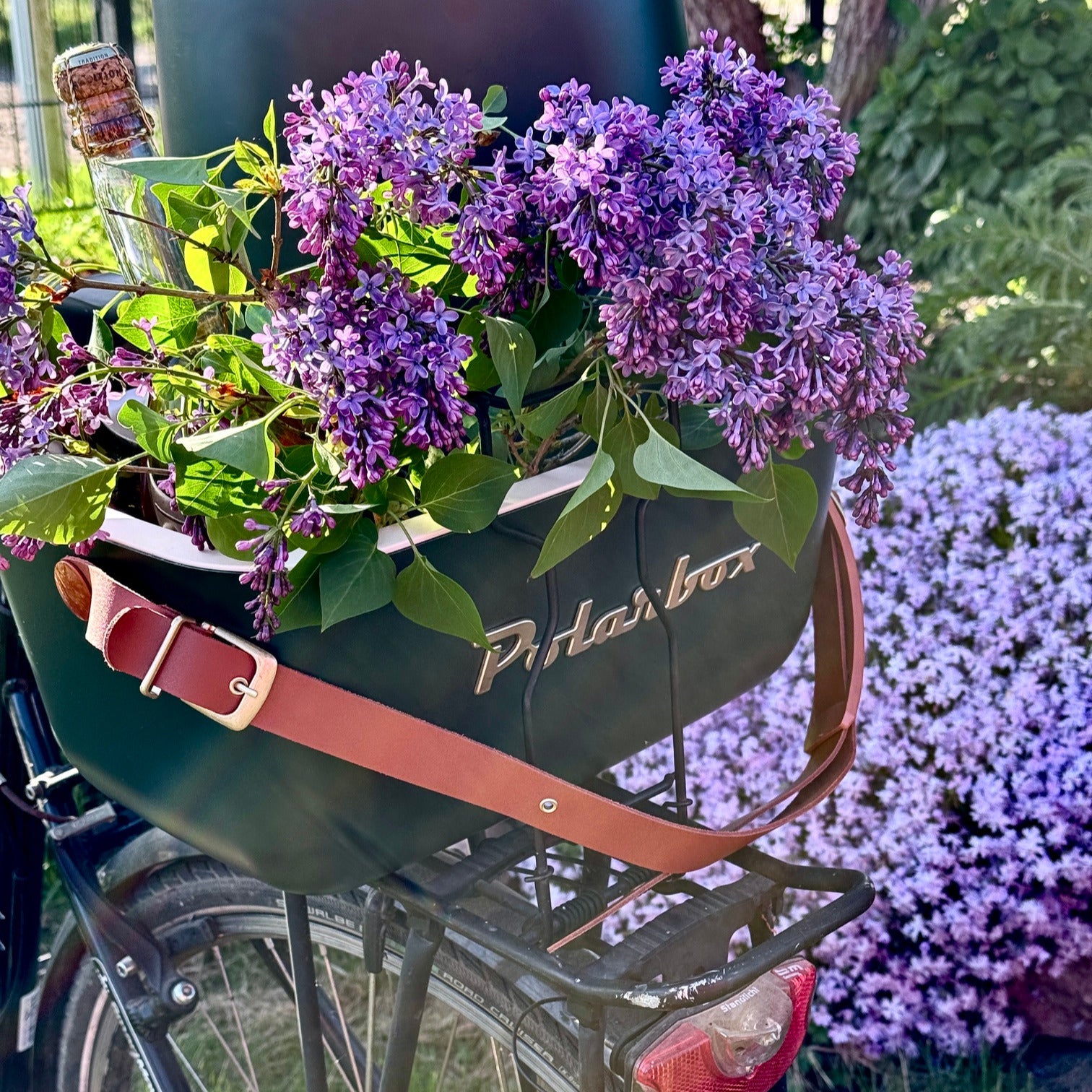 Polarbox Kühltasche in Grün mit Flieder auf einem Fahrrad. 