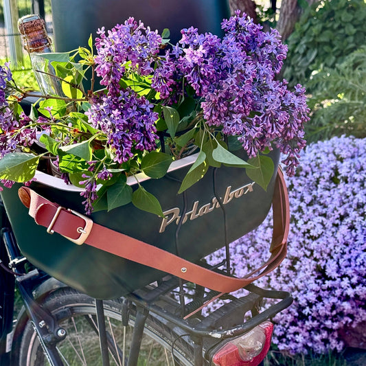 Polarbox Kühltasche in Grün mit Flieder auf einem Fahrrad. 
